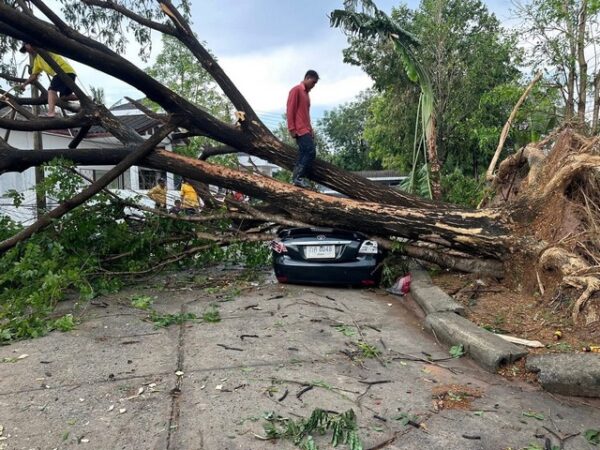 ร้อยเอ็ด…ธรรมชาติพิโรธ..พายุฤดูร้อนถล่มร้อยเอ็ด ซัดบ้านเรือนพังยับกว่า 30 หลัง ซ้ำต้นไม้ล้มทับรถเสียหาย