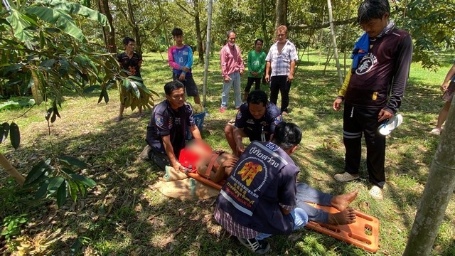 จันทบุรี//ระทึกขวัญ!คนงานตัดทุเรียน พลาดท่าไม้สอยทุเรียนแอยสายไฟแรงสูง ถูกกระแสไฟฟ้า !!รุดร่วงลงมาจากต้นทุเรียน