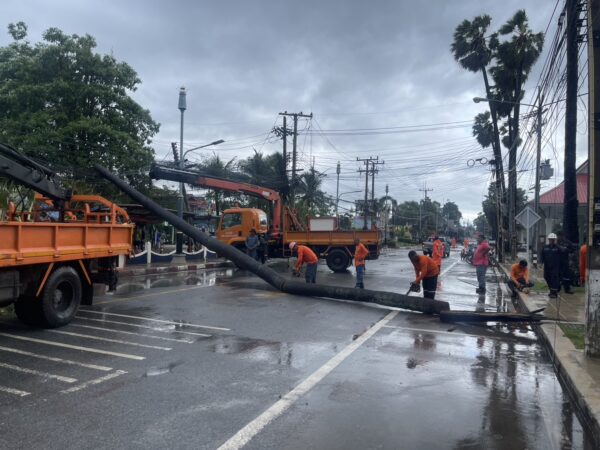 สัตหีบ ฝนตกลมแรงต้นตาล หักโค่นล้มพาดสายไฟ และร้านค้าหน้าโรงพักพังเสียหายไฟดับนับชั่วโมง โชคดีไม่มีใครเจ็บ