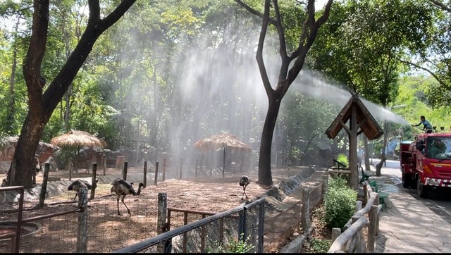 เชียงใหม่-สวนสัตว์เชียงใหม่ฉีดพ่นน้ำ เสริมกิจกรรมคลายร้อนให้กับสัตว์ รับมืออากาศร้อน