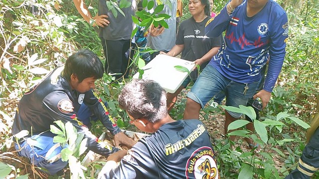 สงขลา-ดุร้ายแผ่แม่เบี้ยฉกสูงกว่าเอว จงอางหวงไข่ ไม่ให้เอาไข่ 44 ฟอง