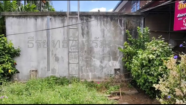 บุรีรัมย์ ถึงขั้นไหว้แทงค์น้ำประปาติดบ้านไม่มีน้ำนายกขี้คุยปัดไม่สนใจ