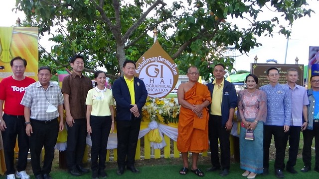 อ่างทอง-ยิ่งใหญ่ขบวนเปิดงานเทศกาลกินกระท้อน ทรงปลูก“ทองใบใหญ่”