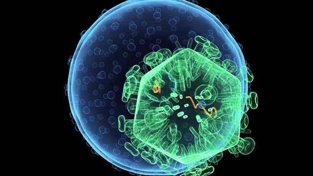 สงขลา-นักวิชาการสาธารณสุขจังหวัดสงขลา เปิดเผย แนวโน้มการติดเชื้อเอชไอวีและโรคติดต่อทางเพศสัมพันธ์ในจังหวัดสงขลาลดลง