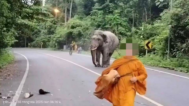 นครนายก – พลายสาริกาไล่พระจีวรบิน