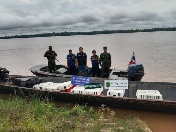 มุกดาหาร -​นรข.มุกดาหาร สกัดขบวนการค้าของเถื่อน ลักลอบขนไก่ข้ามแม่น้ำโขง!