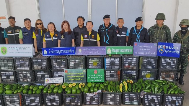 มุกดาหาร -​ศุลกากรฝ่ายปราบปราม จับล็อตใหญ่! อโวคาโดเถื่อน 6.5 ตัน มูลค่ากว่า 1 ล้าน คาดลอบนำเข้าข้ามแม่น้ำโขงมุกดาหาร เตรียมกระจายขายทั่วไทย