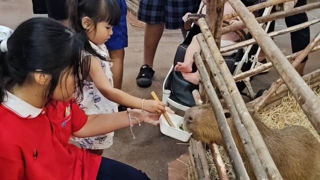 ศูนย์การค้าแปซิฟิค พาร์ค ชวนเที่ยวชมงาน Pacific Pet Safari 2025 เที่ยวทั้งบ้าน สนุกทั้งวัน กับป่าซาฟารีกลางเมืองศรีราชา