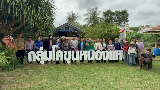 ยโสธรลุ้น โคขุนหนองแหน สุดยอดวิสาหกิจชุมชนดีเด่นระดับประเทศ