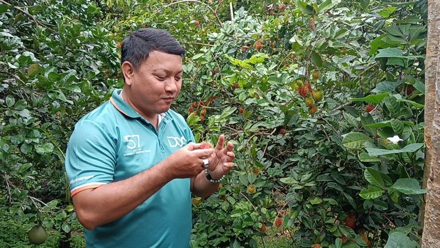 เพชรบูรณ์ เงาะโรงเรียนบ้านวังไทรทอง “หวาน กรอบ ล่อน อร่อยดี” ออเดอร์สุดปัง ผู้บริโภคสั่งซื้อสั่งจอง จนเก็บขายแทบไม่ทัน