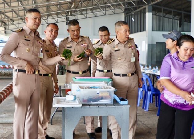 รร.ชุมพลทหารเรือฯ และศูนย์ฝึกทหารใหม่ จัดบรรยายและเปิดโครงการนำร่องการเพาะเลี้ยงสาหร่ายผักกาดทะเล เพื่อฟื้นฟูระบบนิเวศทะเล , ทางเลือกของอาหารที่มีคุณค่าโภชนาการสูง และเป็นทางเลือกด้านอาชีพให้กำลังพล