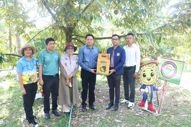 ปัตตานี-เริ่มตัดทุเรียนทรายขาวปัตตานีแล้ว !! นายเชาวลิต สิทธิฤทธิ์ นายอำเภอโคกโพธิ์ ตัดทุเรียนทรายขาว กรีดมีดแรก ถือฤกษ์งาม เปิดฤดูกาลเก็บเกี่ยวทุเรียนทรายขาว ของดี จ. ปัตตานี