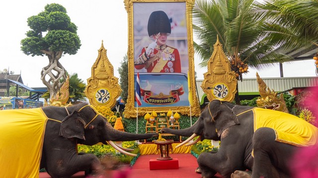 สุดยิ่งใหญ่พิธีถวายราชสดุดีเฉลิมพระเกียรติ 73 พรรษา สวนนงนุชพัทยาจัดช้าง 73 เชือก แปรขบวนเทิดไท้องค์ราชัน! สุดตระการตา