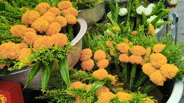 สงขลา-ร้านดอกไม้สงขลา สั่งซื้อดอกบัวบ้านในพื้นที่อำเภอสิงหนคร จังหวัดสงขลา ส่วนดาวเรืองในจังหวัดสงขลามีน้อย ต้องสั่งมาจากกรุงเทพราคาแพง