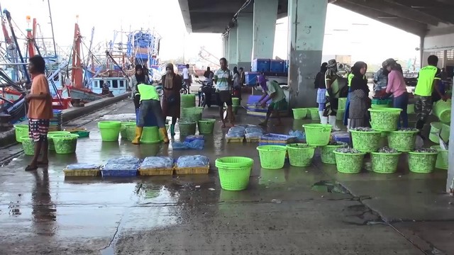 สงขลา-นายกสมาคมประมงสงขลา ยืนยัน แรงงานชาวกัมพูชา ซึ่งเป็นแรงงานประมง ยังคงทำงานตามปกติ ไม่ขอกลับประเทศกัมพูชา แม้ว่า จะมีข้อพิพาทระหว่างประเทศ