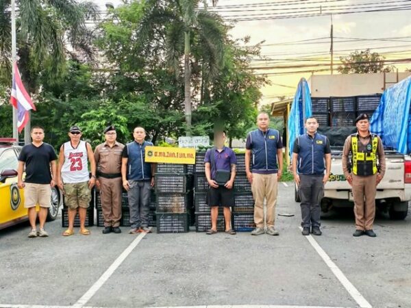 มุกดาหาร​ -​จับกระบะขน “อะโวคาโดเถื่อน” กว่า 2.7 ตัน! ลอบนำเข้าจากมุกดาหาร ส่งขาย​ปทุมฯ ผ่านด่านศุลกากร-กักพืชฉลุย…