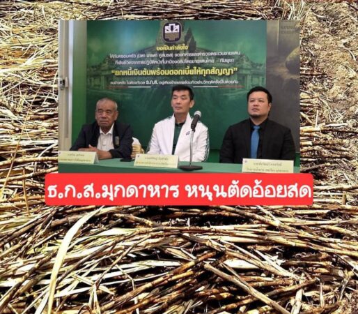 มุกดาหาร​ -​ ธ.ก.ส.มุกดาหาร ขับเคลื่อนมาตรการตัดอ้อยสด ลดฝุ่น PM 2.5 จ่ายเงินสนับสนุนเกษตรกรแล้วกว่า 37 ล้านบาท