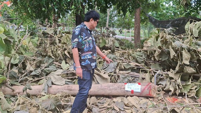 ขอนแก่น-อดีตนายกลำน้ำพองเข้าแจ้งความหาคนตัดไม้สักพระราชทาน