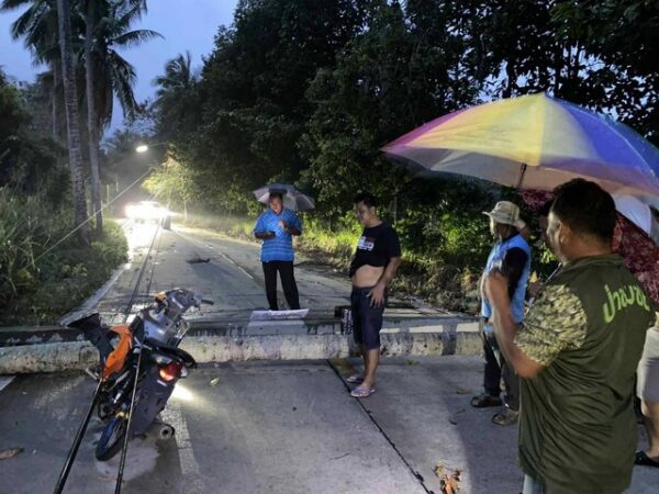 พายุฝนถล่ม เสาไฟฟ้า-ต้นมะพร้าวล้มขวางถนน