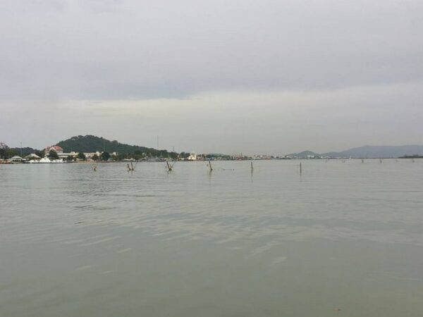 สว.สงขลา เรียกร้อง ผู้ว่าราชการจังหวัด  ให้รื้อถอนโพงพาง เครื่องมือประมงผิดกฎหมาย และรุกร่องน้ำการเดินเรือในทะเลสาบสงขลาให้สำเร็จ 