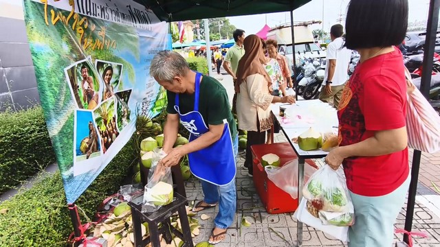 สงขลา-กลุ่มแปลงใหญ่มะพร้าวน้ำหอม ต.ชุมพล อ.สทิงพระ จ.สงขลา นำมะพร้าวน้ำหอมสดจากสวน มาออกบูธขายลูกละ 10 บาท และน้ำมะพร้าวไม่ใส่น้ำตาลเย็นๆ แก้วละ 15 บาท