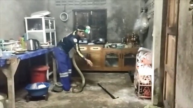 สงขลา-เลขบ้านเด่น จงอางตัวใหญ่เลื้อยเข้าบ้าน