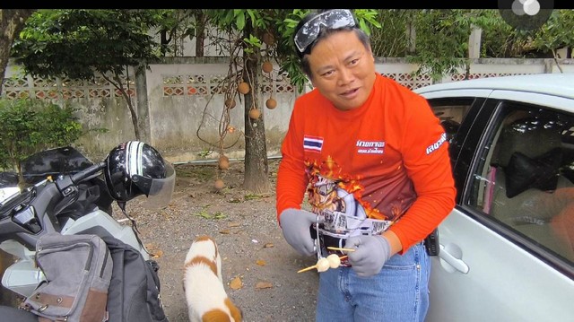 นครนายก – กูัภัยฯช่วยสุนัขเพศผู้ไม้ลูกชิ้นหักติดคาปากเพดานร้องขอความช่วยเหลือ