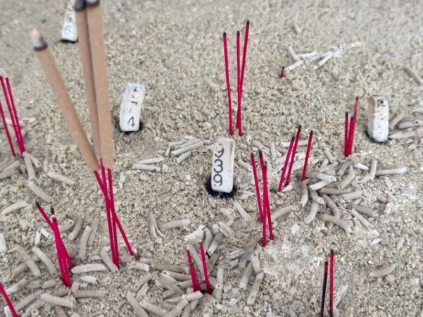 ปทุมธานี “พรุ่งนี้รวย“ ชาวบ้านส่องเลขธูปไอ้ไข่วัดบางเตยกลาง สามโคก หวังรับโชคในวันหวยออก