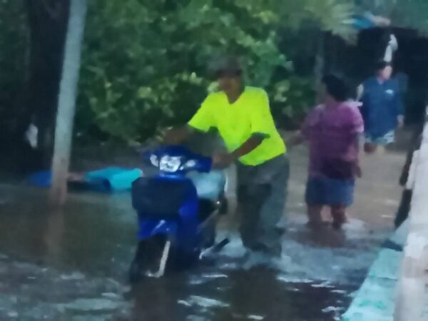 เพชรบูรณ์ ฝนถล่มบึงสามพัน! น้ำหลากท่วมหมู่ 13 วังพิกุล ชาวบ้านเดือดร้อน 5 หลัง – จนท.เร่งเฝ้าระวัง