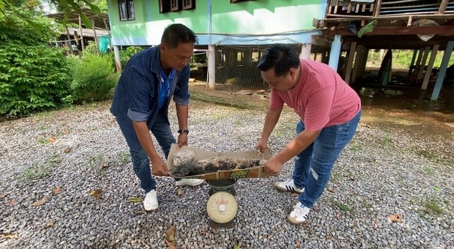 จันทบุรี-จากข่าวโซเชียล ว่าพบอัมพันทะเล หรือ อวกปลาวาฬ ในพื้นที่หาดแหลมแม่นกแก้ว ชาวบ้านฮือฮา!แห่ชม