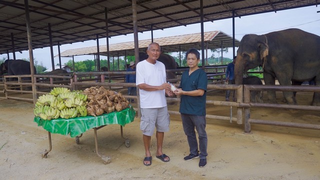 สวนนงนุชพัทยาเร่งด่วน! ส่ง “น้ำนมทองคำ” จากแม่ช้าง ช่วยชีวิตลูกช้างป่าพลัดหลง “น้องข้าวต้ม”
