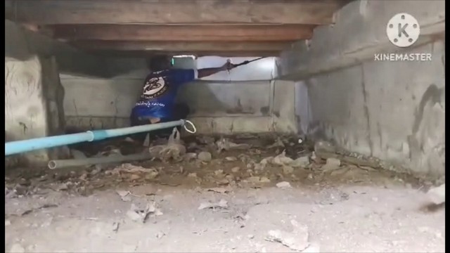 จงอางมางานส่ง ตา ยาย หลงทางเลื้อยเข้าใต้ถุนบ้าน เดือดร้อน ทีมอาสาพิทักษ์งูสงขลา มาจับ