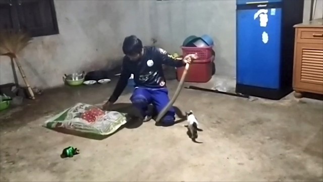 เชื่อเลขบ้านเด่น จงอางเลื้อยเข้าบ้านซุกหลังตู้เย็น