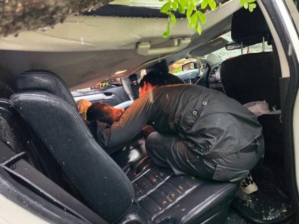 เพชรบูรณ์-ต้นไม้ยักษ์โค่นขวางถนน! ทล.21 หนองไผ่ รถพัง 2 เจ็บ 1 จนท.ระดมเคลียร์เปิดทางจราจรแล้ว