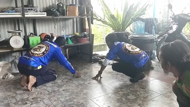 สงขลา-จงอางเข้าบ้าน เชื่อให้โชค ป้ายรถเก๋งเด่นชัด