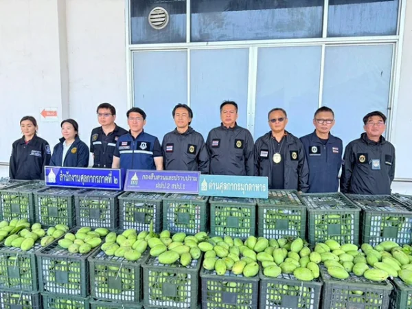 มุกดาหาร -ศุลกากรภาค 2 สกัด 10 ล้อขน “มะม่วงแก้วขมิ้น” 13 ตัน ลอบนำเข้าจากต่างประเทศ มูลค่ากว่า 4 แสนบาท