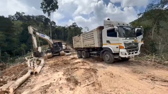 สงขลา-เจ้าหน้าที่สนธิกำลัง จับชาย 4 คน พร้อมของกลาง กำลังตัดไม้ บุกรุกป่าสงวนฯ ป่าต้นน้ำคลองเปียน-คลองเทพา แฉฝีมือนายทุนสั่งการ