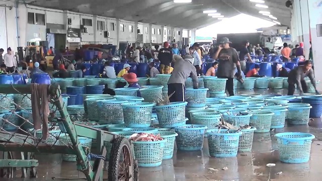 สงขลา-เรือประมงทั้งขนาดเล็ก และขนาดใหญ่ใน จ.สงขลา ทยอยกลับเข้าฝั่ง และขนถ่ายสินค้าสัตว์น้ำ ก่อนจอดเทียบท่าตามท่าเทียบเรือต่างๆ หลังศูนย์อุตุนิยมวิทยาภาคใต้ฝั่งตะวันออก ประกาศฉบับที่ 2