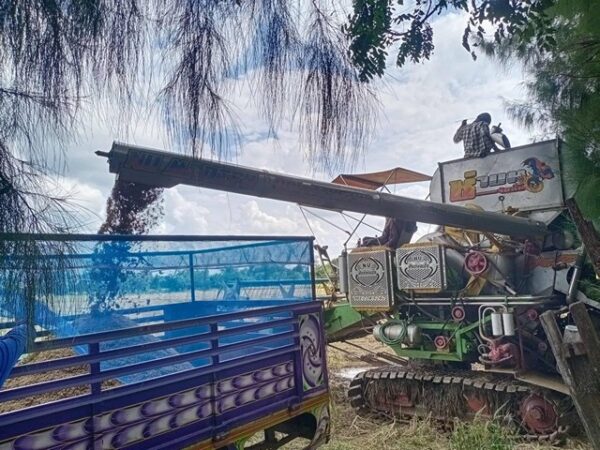 บุรีรัมย์-ชาวนาชายแดนวอนอย่าเพิ่งปะทะขอให้เกี่ยวข้าวขายใช้หนี้ ธกส. และมีเงินติดตัว