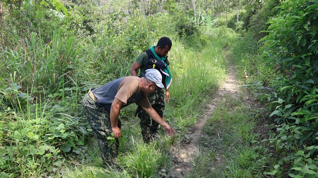 ยะลา-เบตง / ผวา พบรอยเท้าสัตว์ คาดว่าเป็นเสือ