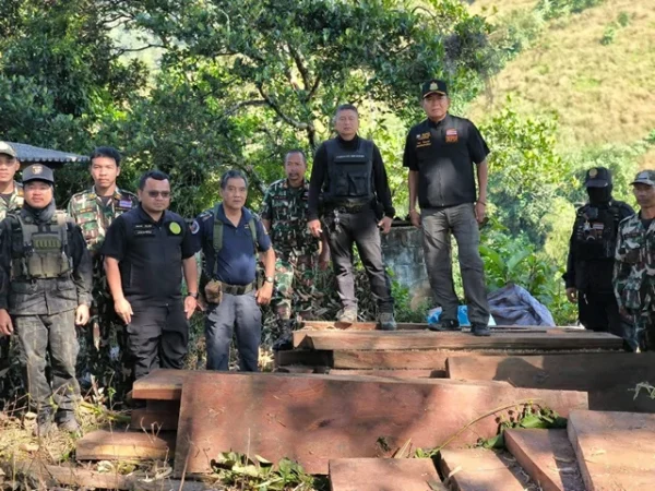 ตาก-ผอ.สจป.ที่ 4 (ตาก) ร่วมตรวจยึดไม้ประดู่แปรรูปของกลาง 32 แผ่น