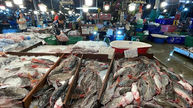 อ่างทอง ปลาน้ำจืดไทยพุ่ง หลังไทยรบกัมพูชา ปิดด่านชายแดนไทย ร้อยละ 30-40