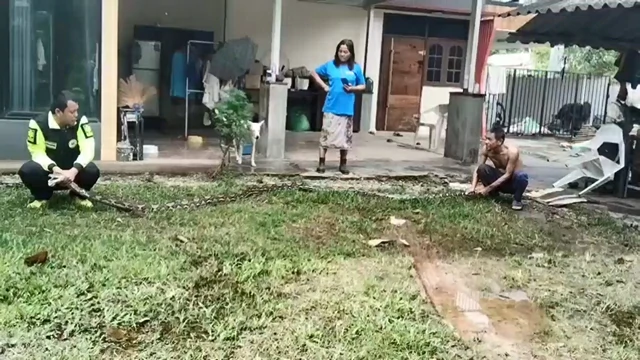 สงขลา-งูเหลือมยักษ์โผล่วันหวยออก บุกเขมือบแมว