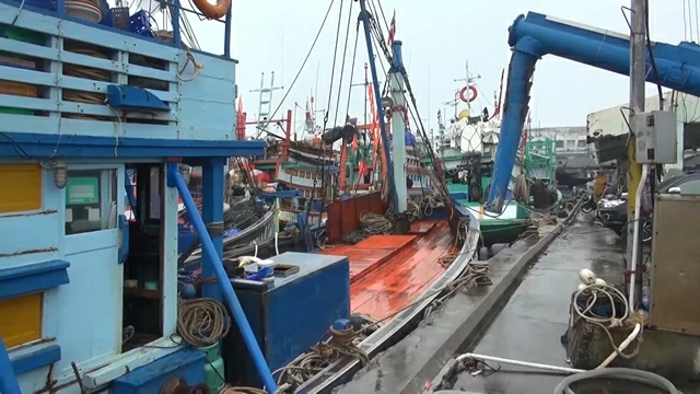 สงขลา-เรือประมงสงขลายังคงจอดท่าจอดเรือท่าเทียบเรือประมงสงขลาต่อไปอีก เนื่องจากเมื่อคืนนี้มีฝนตกหนักตลอดทั้งคืนต่อเนื่องถึงเช้า ซึ่งจะทำให้ในทะเลมีคลื่นลมแรงจาก 2 เมตรเป็น 3 เมตร