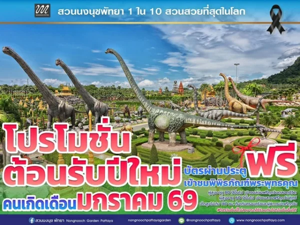 ส่งท้ายปีเก่าต้อนรับปีใหม่ 2569 สวนนงนุชพัทยามอบของขวัญสุดพิเศษ ชวนสัมผัสทะเลดอกไม้บานสะพรั่งทั่วทั้งสวน