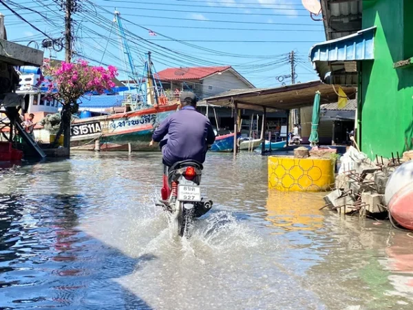 ตราด-อ.คลองใหญ่ คืบหน้านํ้าทะเลหนุนสูง หลายพื้นที่ของอําเภอคลองใหญ่ได้รับผลกระทบจากปรากฎการณ์น้ำทะเลหนุนสูงเป็นประวัติการณ์ทั้ง 3 ตำบล