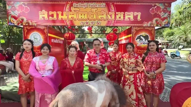 สงขลา-สวนสัตว์สงขลา ฉลองตรุษจีนสุดคึกคัก! ชวน “จิบชาเสริมเฮง เล็งดูสัตว์มงคล” สัมผัสความน่ารัก”น้องเจอร์นี่-เดลี่” ม้าแคระแสนรู้ ณ โรงเตี๊ยมจำลอง