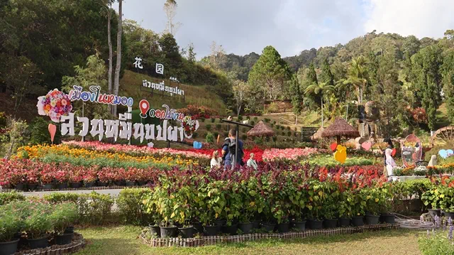 ยะลา-เบตง / สวนหมื่นบุปผาเอาใจคู่รักฉลองเทศกาลวาเลนไทน์