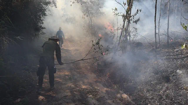 ยะลา-เบตง / ไฟไหม้ป่าสวนยางติดชายแดนไทยมาเลเซีย