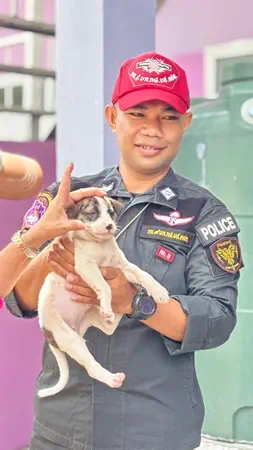 สงขลา-เดอะโฮปสงขลาไม่ทนโร่พบผู้กำกับการ 9 ตำรวจตระเวนชายแดน หลังพบคดี ด.ต.ทารุณกรรมสุนัขไม่คืบ อีกทั้งแนวโน้มส่อสุนัขถูกทำร้ายทารุณกรรมเพิ่ม ลั่นตอนนี้พยานแสดงตัวแล้วคดีไม่คืบอีก “กฎหมายมีไว้ทำไมล่ะคะ”